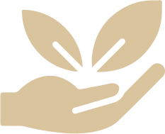 hand hand