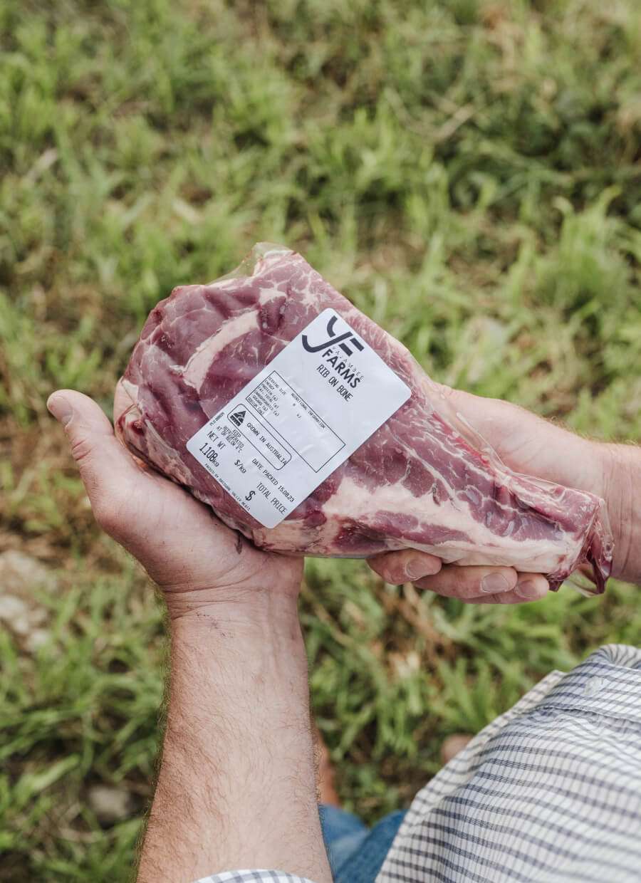 WEB_HHOLDING RIB EYE STEAKANNAH_PUECHMARIN_yajambee for CS_43 (1) (1) HOLDING RIB EYE STEAK